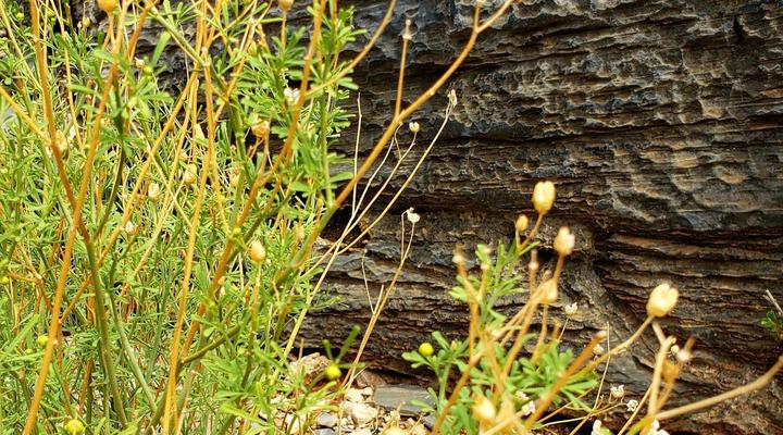 No. 227 Remhoogte Farming Accommodation