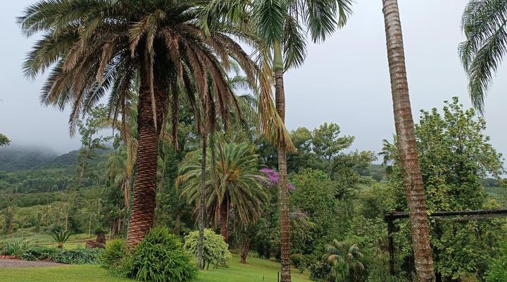Pecan Farm Guest House