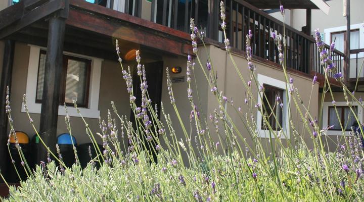 The Residence @ Villa Wiese