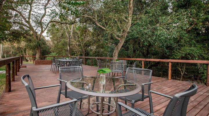 Bush Baby Valley Lodge