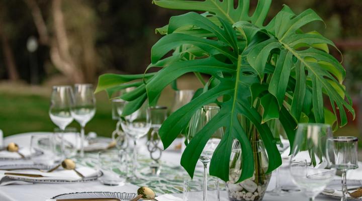 Bush Baby Valley Lodge