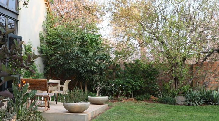 The Lazy Leopard Lodge