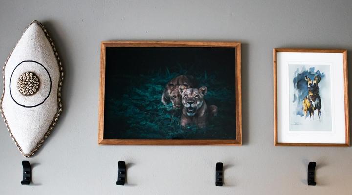 The Lazy Leopard Lodge