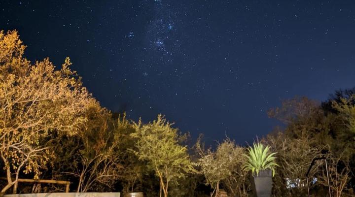 The Lazy Leopard Lodge