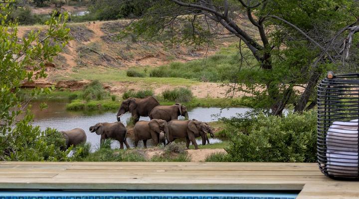 Simbavati Mvubu Cottage