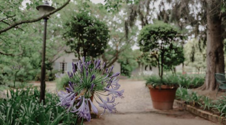 Blue Gum Country Estate