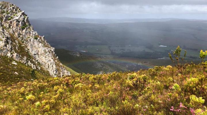 Blue Gum Country Estate