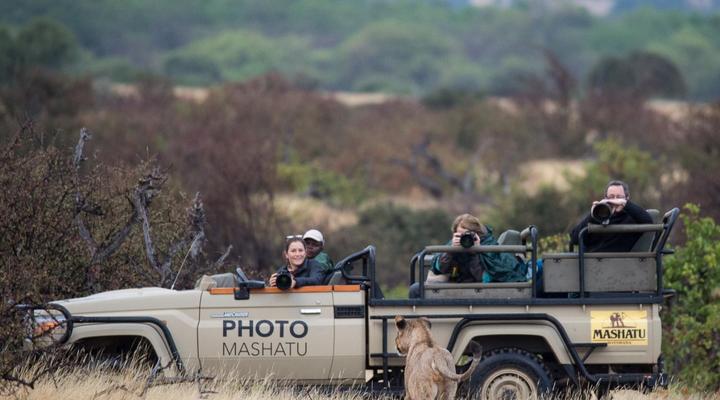 Mashatu Lodge - Mashatu Game Reserve