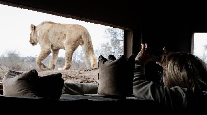 Mashatu Lodge - Mashatu Game Reserve