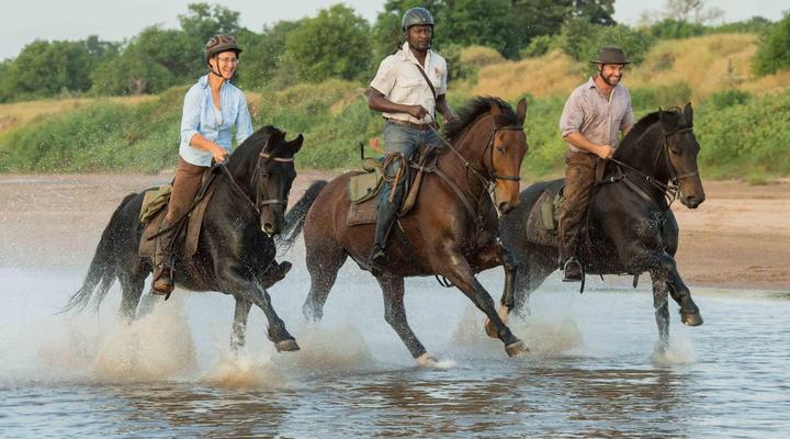 Mashatu Lodge - Mashatu Game Reserve