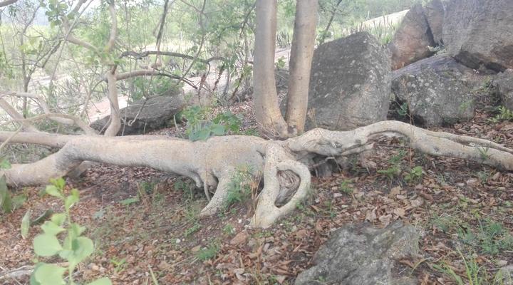 Tipperary Game Lodge