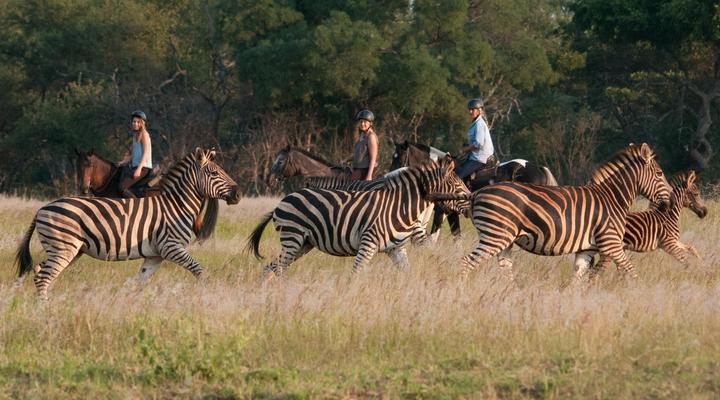 Mashatu Tent Camp - Mashatu Game Reserve