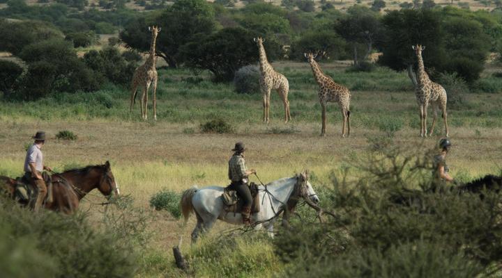 Kolokolo Safari Home - Mashatu Game Reserve