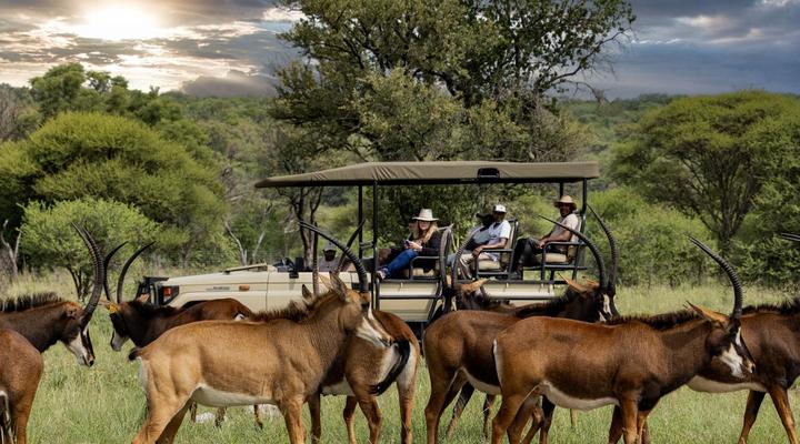 Sable Ranch Bush Lodge