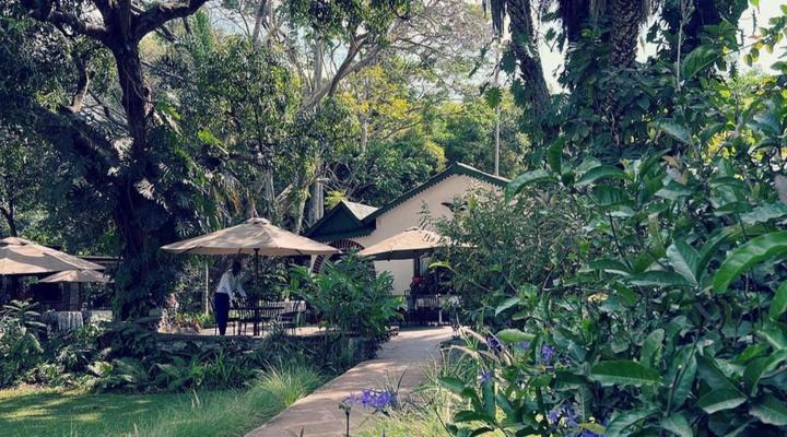 Mount Meru Game Lodge & Sanctuary