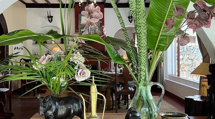 Mount Meru Game Lodge & Sanctuary