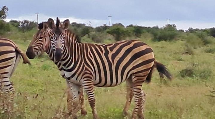 Khululeka Safaris Lodge