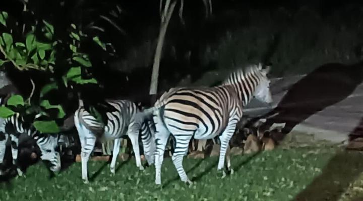 Khululeka Safaris Lodge