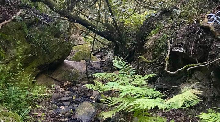 Kalanderkloof Cottage