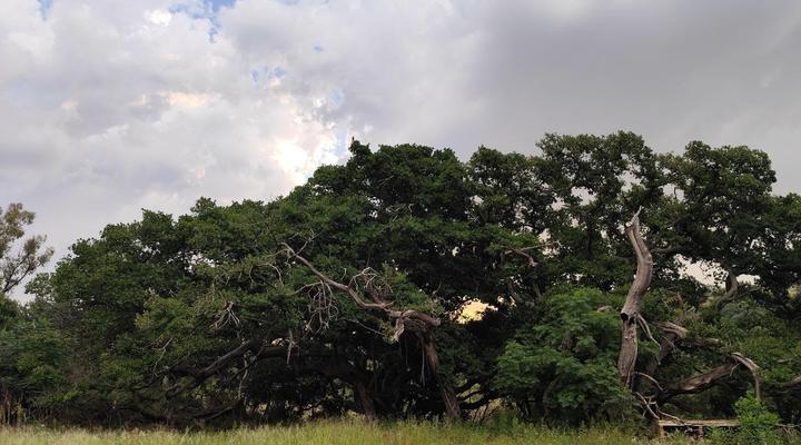 Bethesda Mountain Lodge