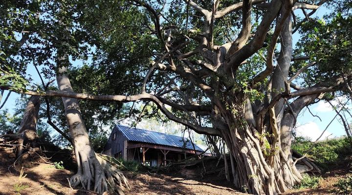 Bethesda Mountain Lodge