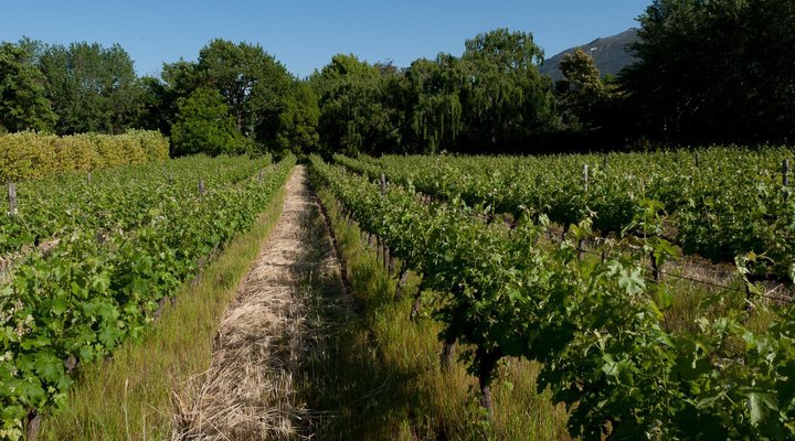 La Galiniere Guest Cottages