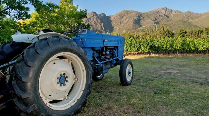 La Galiniere Guest Cottages
