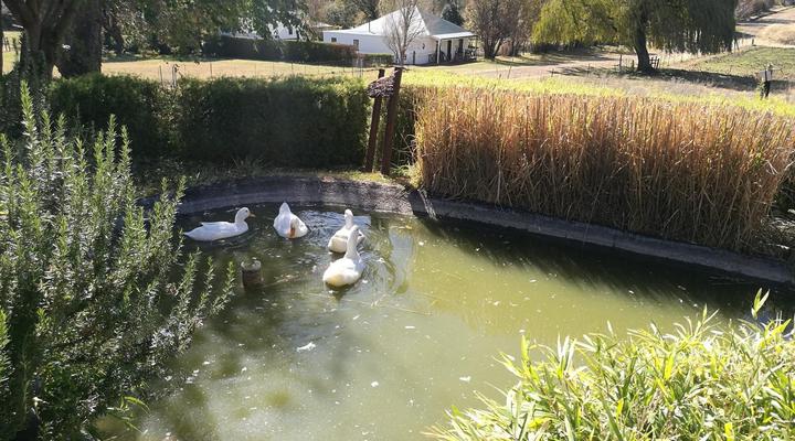 Walkerbouts Inn – Rhodes