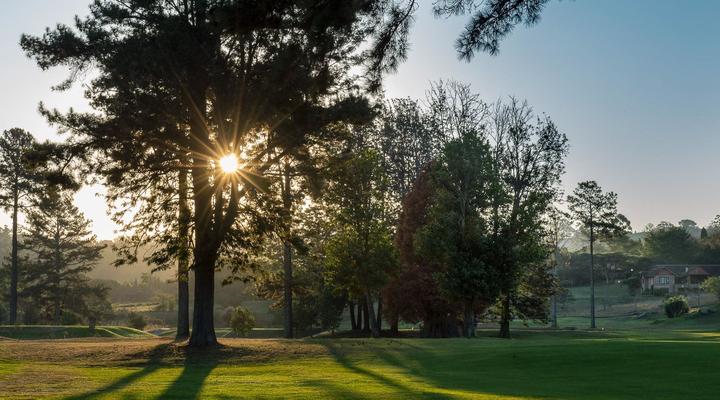 Aloe Khaya Guest Loft