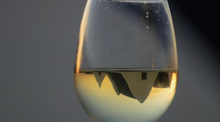 The Magical Mongoose