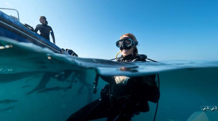 Blue Marlin All-Inclusive Seascape by Dream Resorts