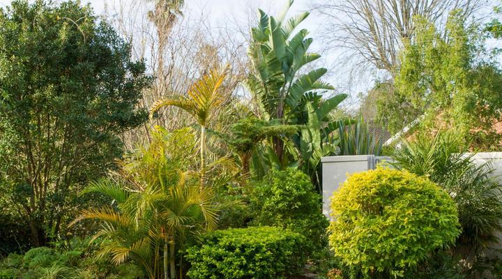 Cherry Berry Guest House