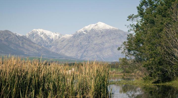 Duikersdrift Winelands Country Escape