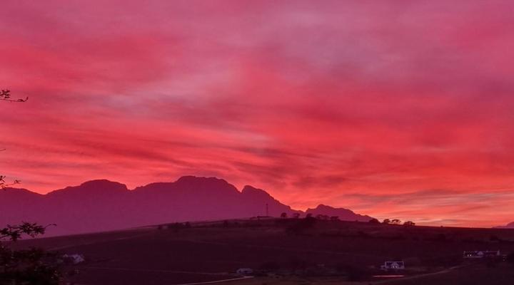 Brenaissance Wine & stud Estate