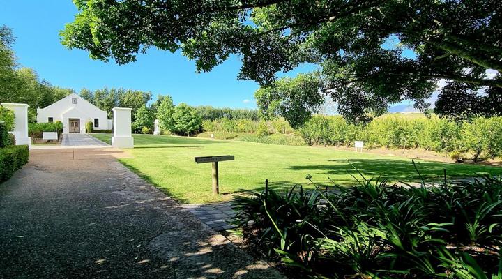 Brenaissance Wine & stud Estate