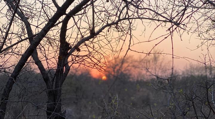 Mount Marula Game Lodge