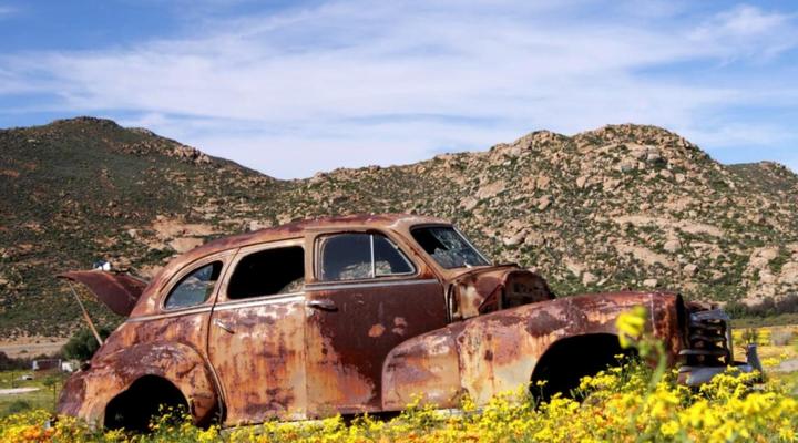 Jakkalswater Gasteplaas