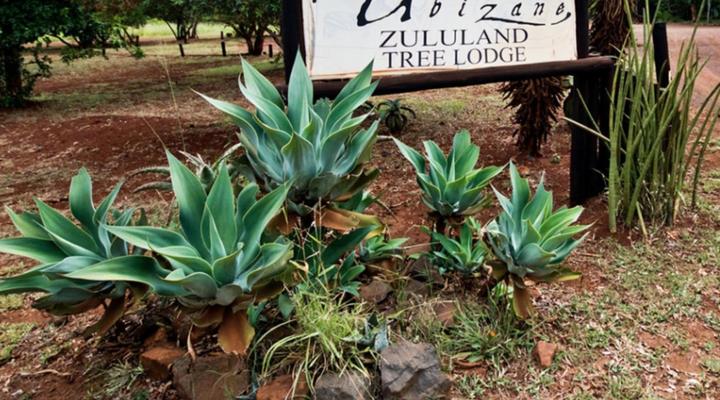 Ubizane Zululand Safari Lodge