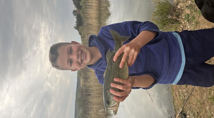 Badfontein Guest Farm and camping