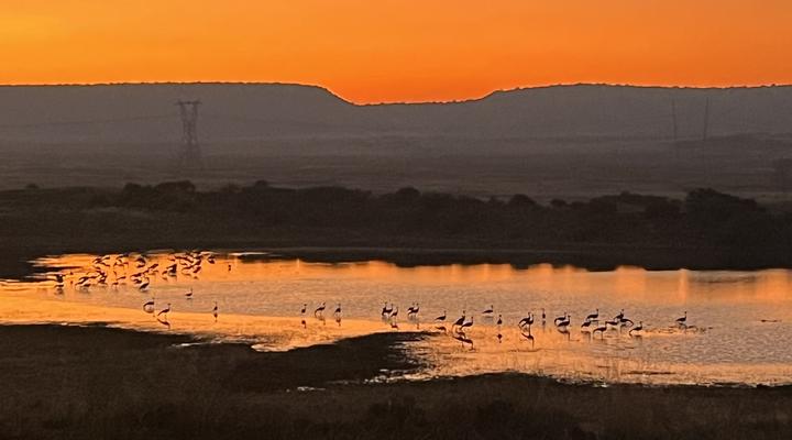 Badfontein Guest Farm and camping