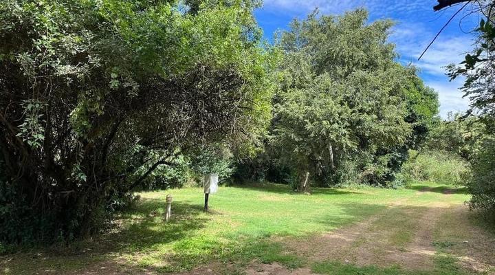 Badfontein Guest Farm and camping