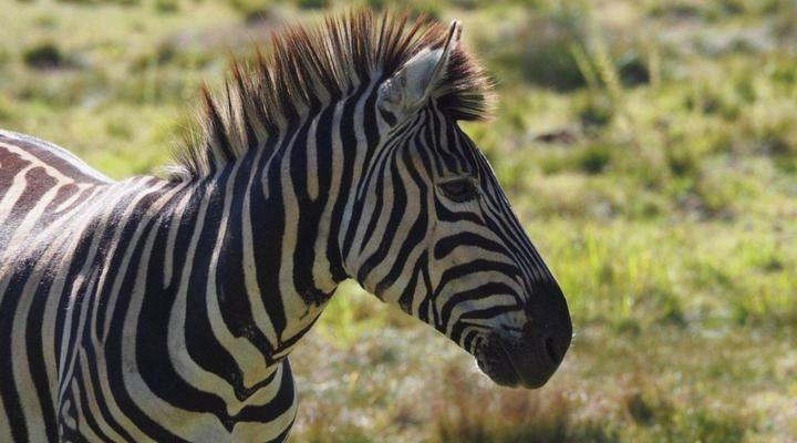 Rothman Manor De Luxe Guest Retreat