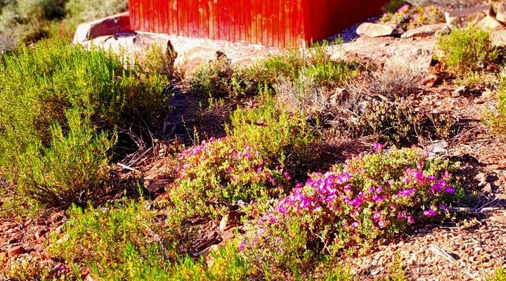 Tibani Nature Reserve