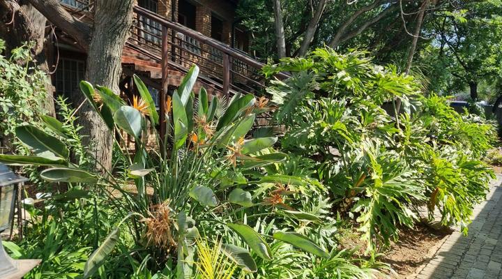 Airport Inn B&B and Emerald Guest House