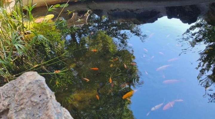 Airport Inn B&B and Emerald Guest House