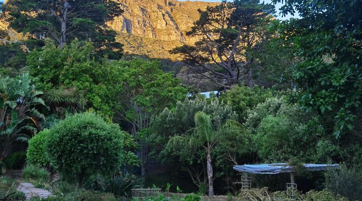 Hout Bay Wellness