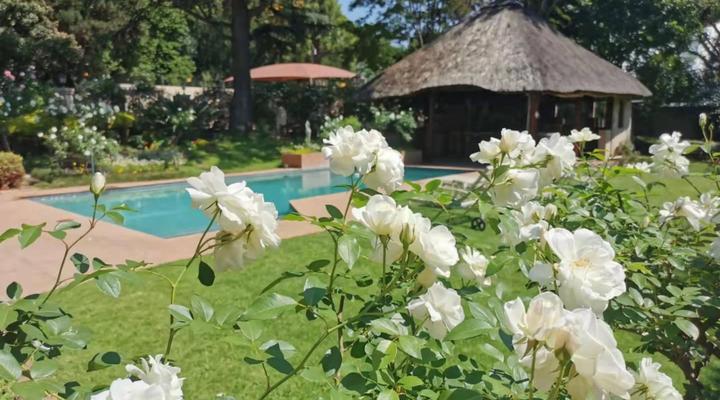 Bellgrove Guest House