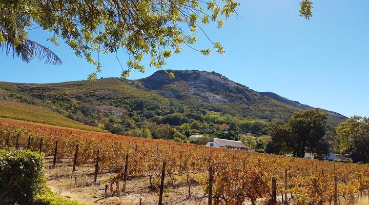 De Wingerd Wijnland Lodge