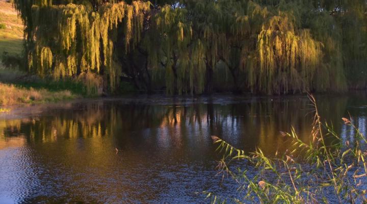 St Fort Country House