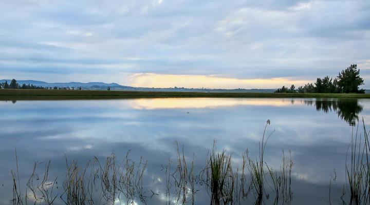 Summerfield Botanical Garden